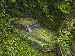 Illustration for article titled The nightmare continues: Abandoned cars part 3